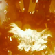 Image for article titled Michael Bay Finally Made An Art Movie